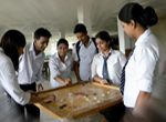  Students Playing Carom Board